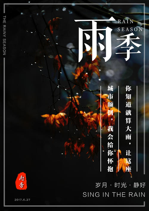 仿制阿联酋护照扫描件